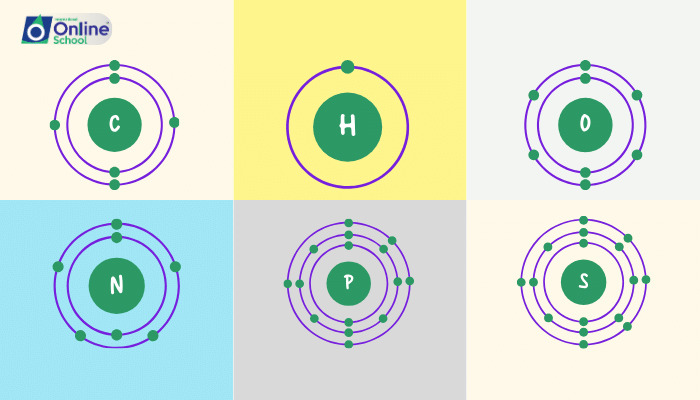 Lesson 07: Bioelements - The Fundamentals of Life